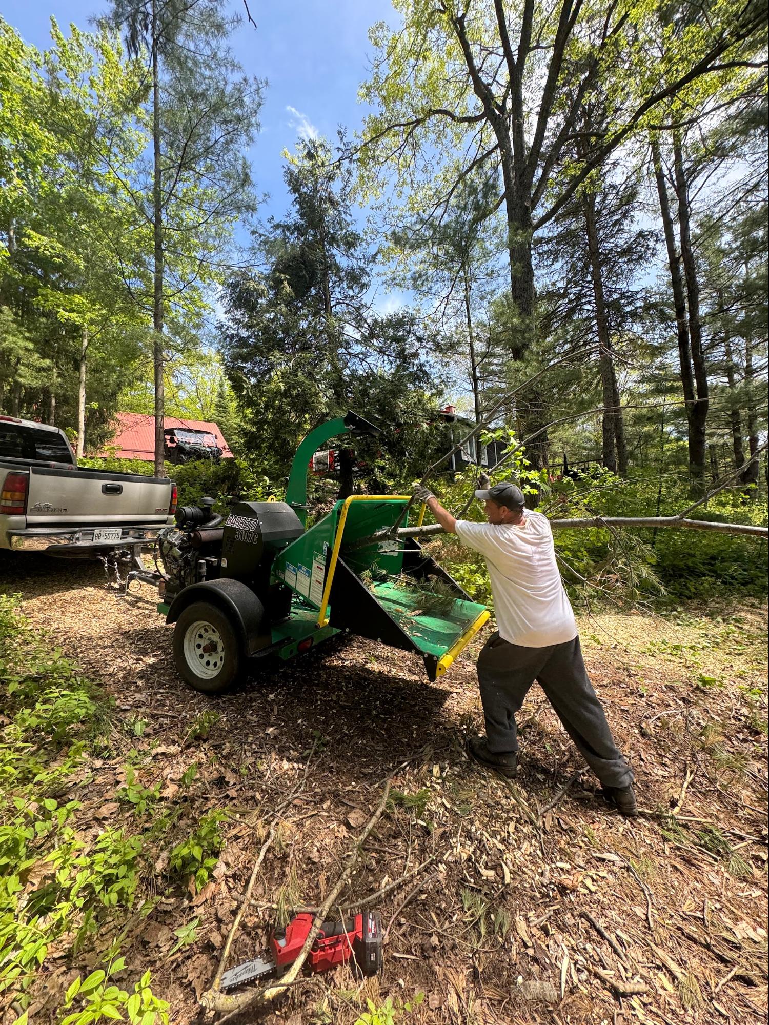 Property cleanup with wood chipper
